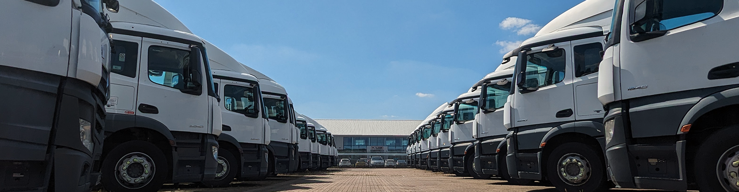 Site Gallery Walker Movements