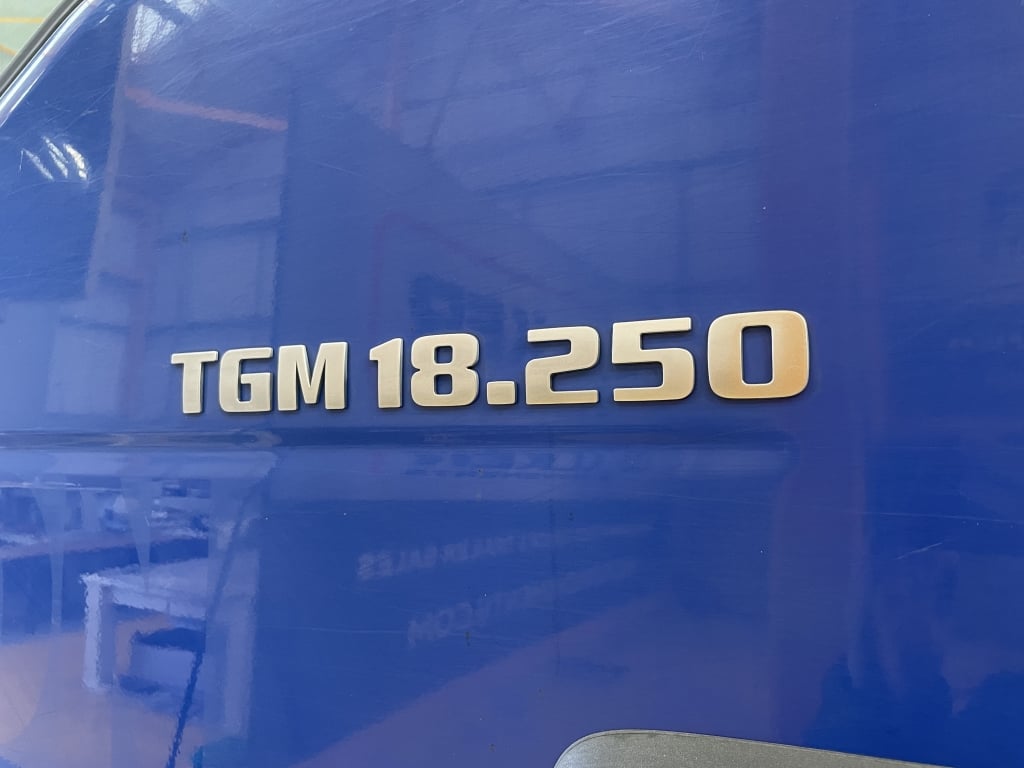 MAN TGM 18.250 *EURO 6*, 4X2 PINCE À BRIQUES DE 18 TONNES - 2016 - DG16 DXF
