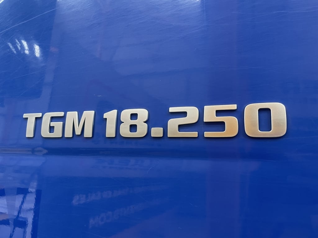 MAN TGM 18.250 *EURO 6*, 4X2 PINCE À BRIQUES DE 18 TONNES - 2016 - DG66 RZZ