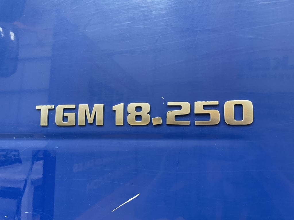 MAN TGM 18.250 *EURO 6*, 4X2 18 TONNE BRICK GRAB – 2016 – DA65 SJY